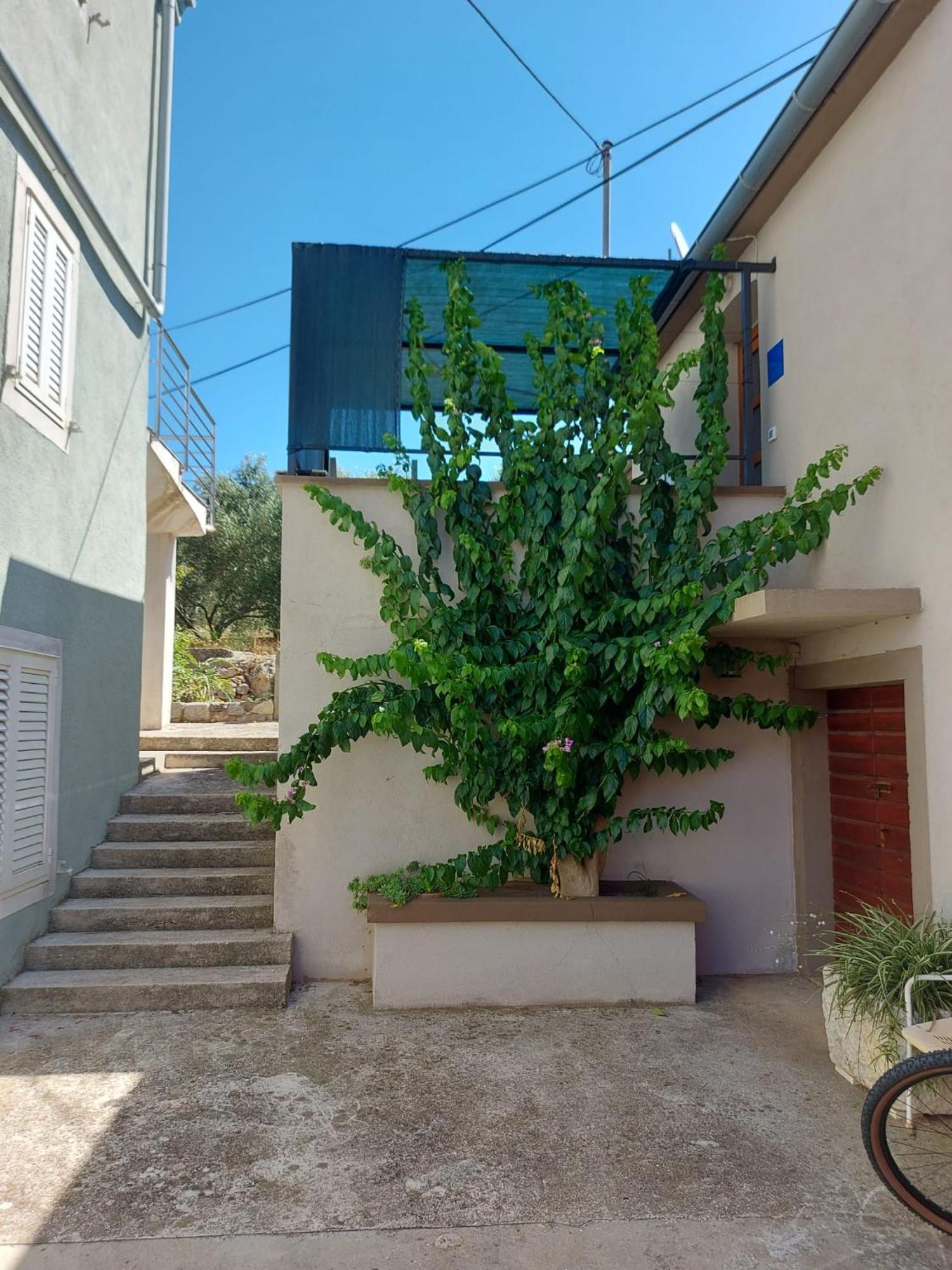 Apartmani Bugenvilija Brbinj Kültér fotó
